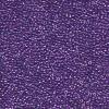 15-91531 Purple lined crystal